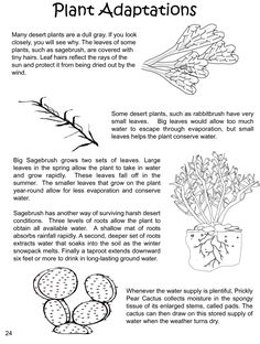 plants that are labeled in the text on this page is an example of how to use plant