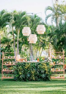 a lush green field with lots of plants and lights hanging from the top of it