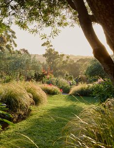 a lush green field with lots of trees and flowers in the distance, surrounded by tall grass