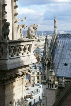 the gargoyles are on top of the building's roof, and look down at the city below