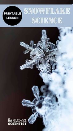 the snowflake science book is shown