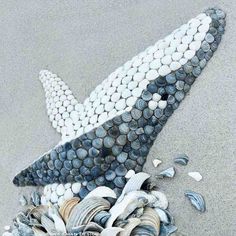 shells and seashells are arranged in the shape of an airplane