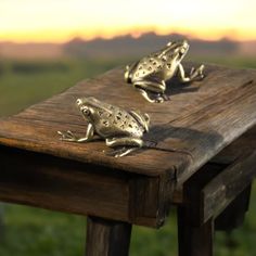 two silver frog figurines sitting on top of a wooden table in front of a field