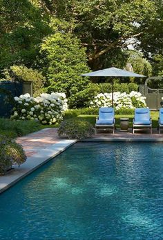 an outdoor swimming pool with lawn chairs and umbrellas next to it, surrounded by white hydrangeas