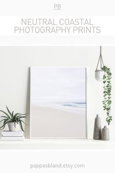 a white shelf with some plants on top of it and the text neutral coastal photography prints