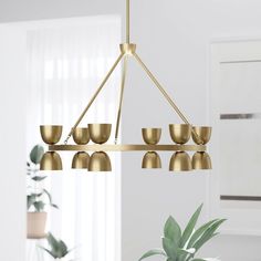 a chandelier hanging from a ceiling in a living room with potted plants