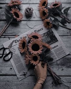 the sunflowers are laying on top of an old news paper and some scissors