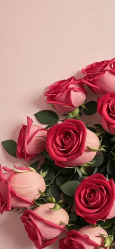 a bouquet of pink roses on a pink background