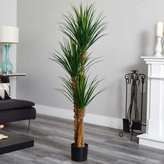 a tall palm tree in a black planter next to a white fireplace and couch