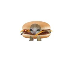 a mouse sitting on top of a large hamburger with cheese and ketchup in it