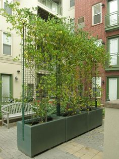 an outdoor garden with plants and benches in front of brick buildings on the sidewalk next to each other