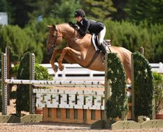 a person jumping a horse over an obstacle