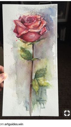 a painting of a rose being held up by someone's hand with watercolor on paper