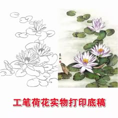 an image of water lilies with chinese writing in the bottom and on the bottom