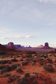 the desert is full of red rocks and green plants