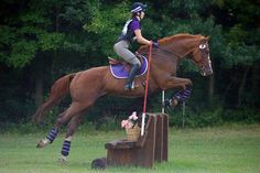 a woman riding on the back of a brown horse jumping over a wooden obstacle in a field