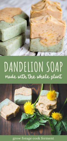 dandelion soap made with the whole plant