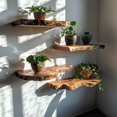 three wooden shelves with plants and potted plants on them in the corner of a room