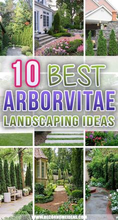 the top 10 best arbortive landscaping ideas