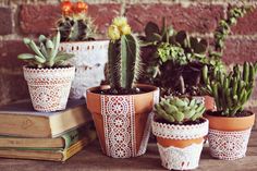 four potted plants sitting on top of a wooden table