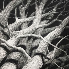 a black and white drawing of trees with no leaves on the branches, against a dark background