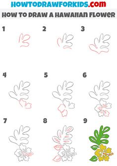 how to draw hawaiian flowers with colored pencils for kids and adults - step by step instructions