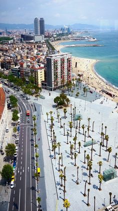 an aerial view of a beach with palm trees in the foreground and buildings on the other side