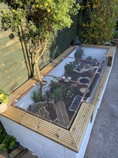 an outdoor garden area with plants and fencing