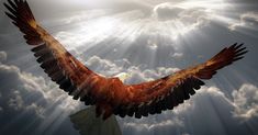 an eagle soaring through the sky with sunbeams