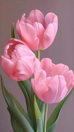 two pink tulips in a vase on a table