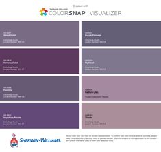 the colorsnap visualizer color guide