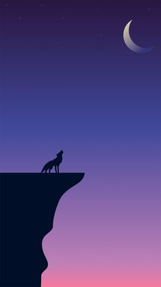 a lone wolf standing on the edge of a cliff looking at the moon and stars