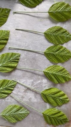 some green leaves are laying on a table