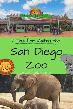 zoo San Diego Zoo Outfit, Zoo Outfit, San Diego Travel, Family Vacation Destinations, Safari Park, Visit California, San Diego Zoo