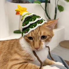 an orange and white cat wearing a knitted christmas tree hat on top of it's head