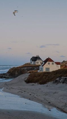 a bird flying over some houses on the beach