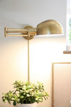 a potted plant sitting on top of a table next to a wall mounted lamp