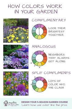 an advertisement with flowers and the words how colors work in your garden