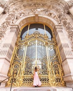 Creative Front Door, Parisian Doors, Front Door Designs, Modern Entrance Door, An American In Paris, Beautiful Front Doors, Doors Design, Modern Entrance, Travel Girl