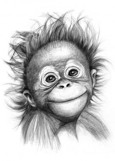 a black and white drawing of a monkey's face with hair on its head