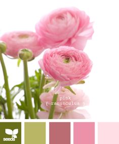 some pink flowers are in a vase with green stems