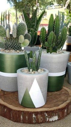 several potted cacti are sitting on a tree stump