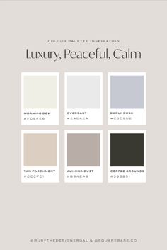 the color scheme for luxury, peaceful, calm and elegant paint palettes in shades of gray