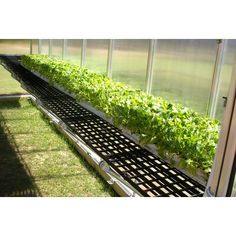 a green house filled with lots of plants