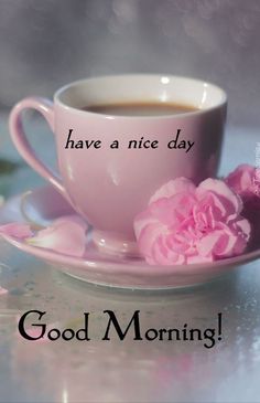 a cup of coffee and some pink flowers on a plate with the words have a nice day good morning