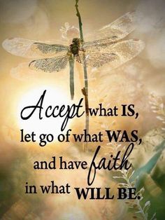 a dragonfly sitting on top of a plant with the words accept what is, let go of what was, and have faith in what will be