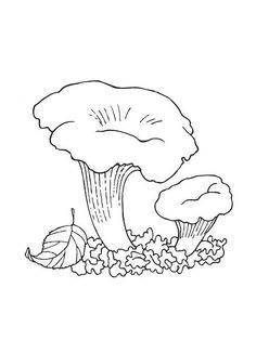 a black and white drawing of mushrooms on the ground with leaves around them, in front of