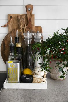 an assortment of liquor bottles and spices on a counter top next to a potted plant