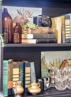 there are many books and glasses on the shelves in front of this bookcase with deer pictures