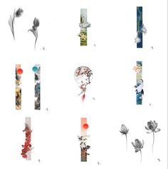 an assortment of flowers are shown in multiple images, each with their own individual image